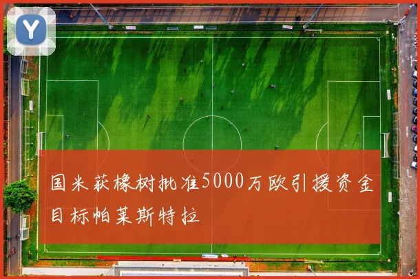 国米获橡树批准5000万欧引援资金目标帕莱斯特拉